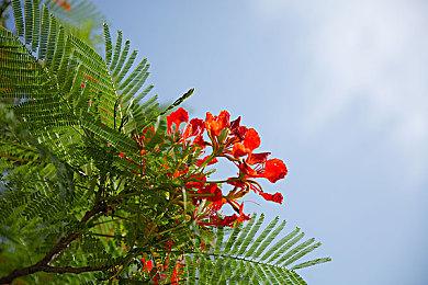 北美送修NS手柄堆积如山 越南裔临时工苦不堪言